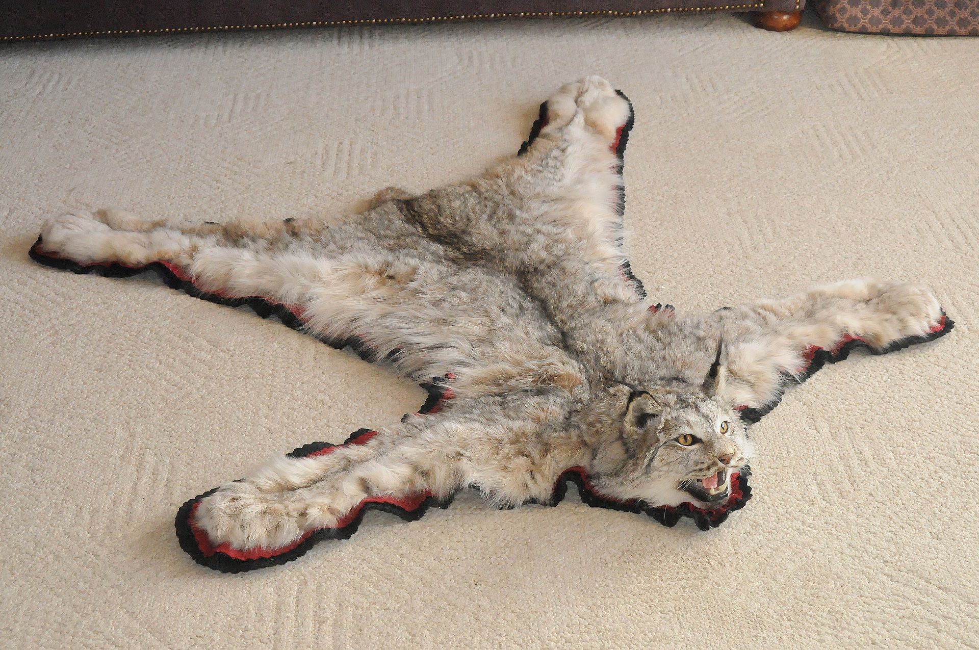 山猫