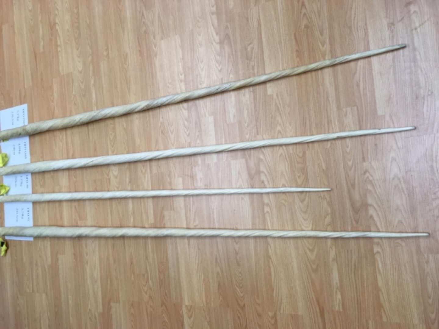 独角鲸牙2